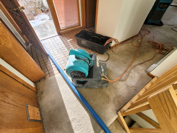 Best Flooded house restoration  in Arta, CA