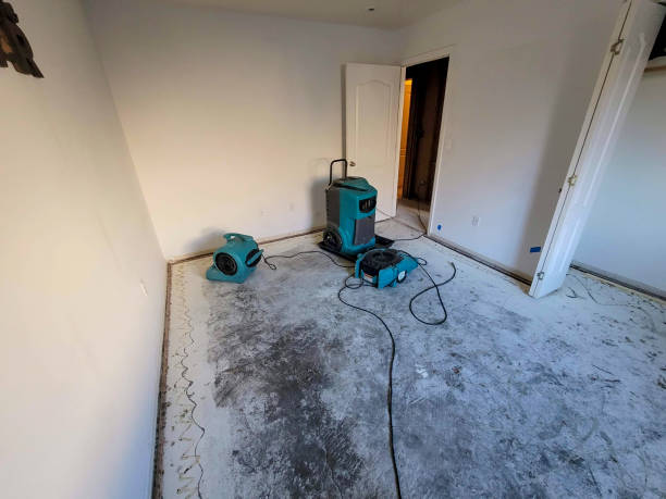 Best Water damage contractors near me  in Arta, CA