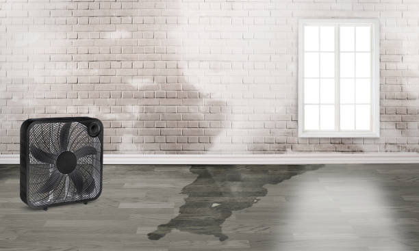 Best 24/7 water damage repair  in Arta, CA