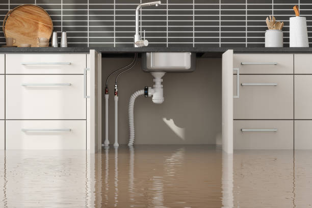 Best Carpet water damage restoration  in Arta, CA